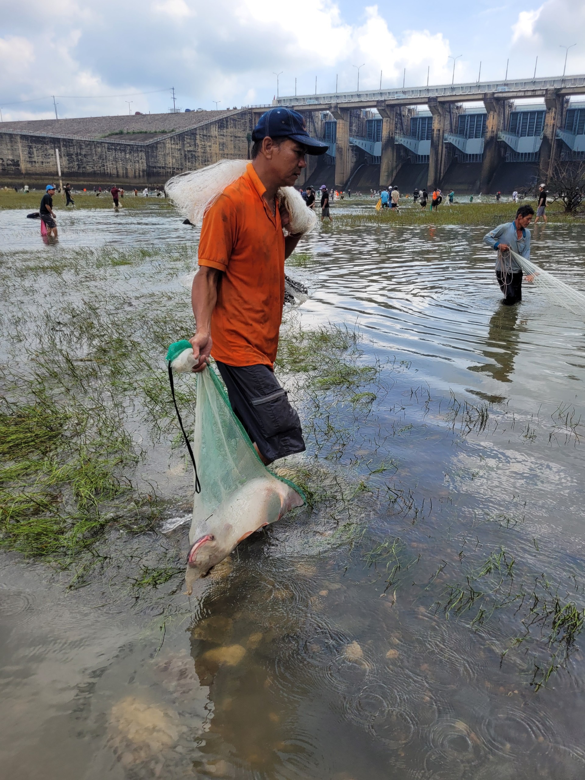 Hồ Trị An xả tràn, người dân nô nức lội nước bắt cá khủng - Ảnh 4. Hồ Trị An xả tràn, người dân nô nức lội nước bắt cá khủng - Ảnh 4.