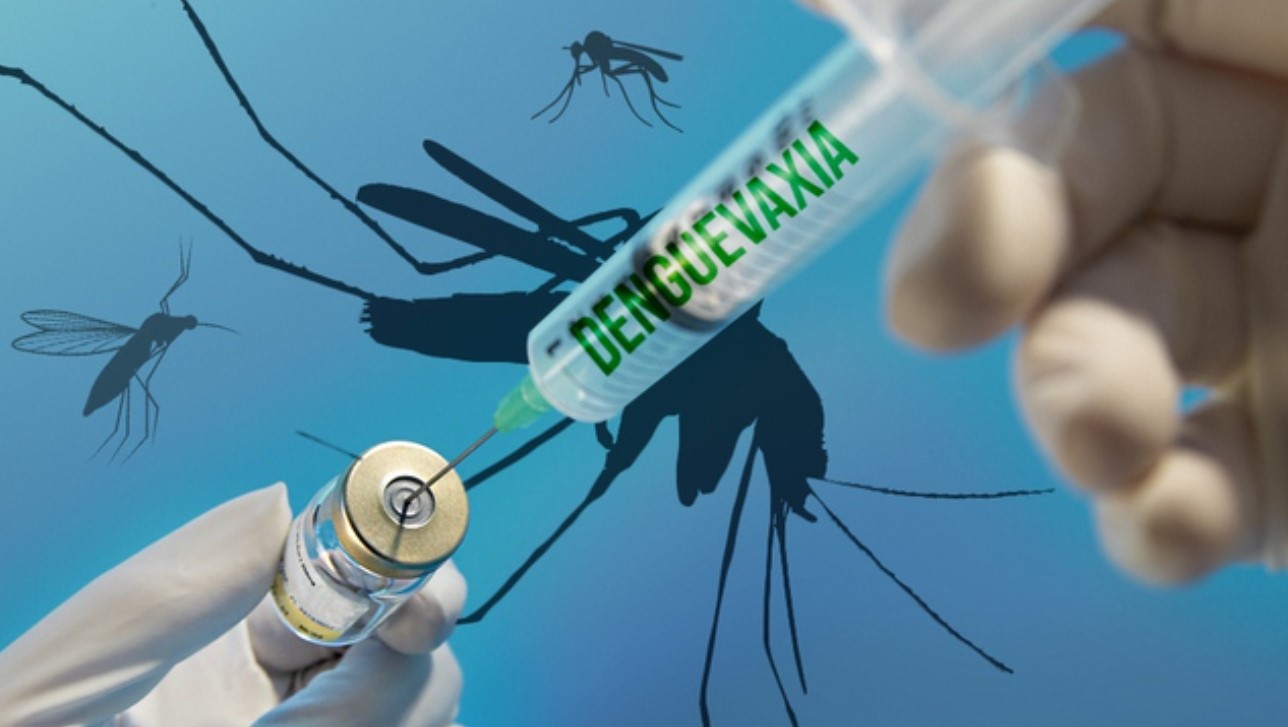 Việt Nam sẽ tham gia tiêm thử nghiệm vắc xin sốt xuất huyết    - Ảnh 1.