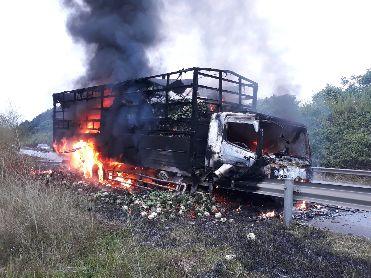 Xe tải bất ngờ cháy rụi trên cao tốc Nội Bài - Lào Cai đoạn qua Yên Bái - Ảnh 1.