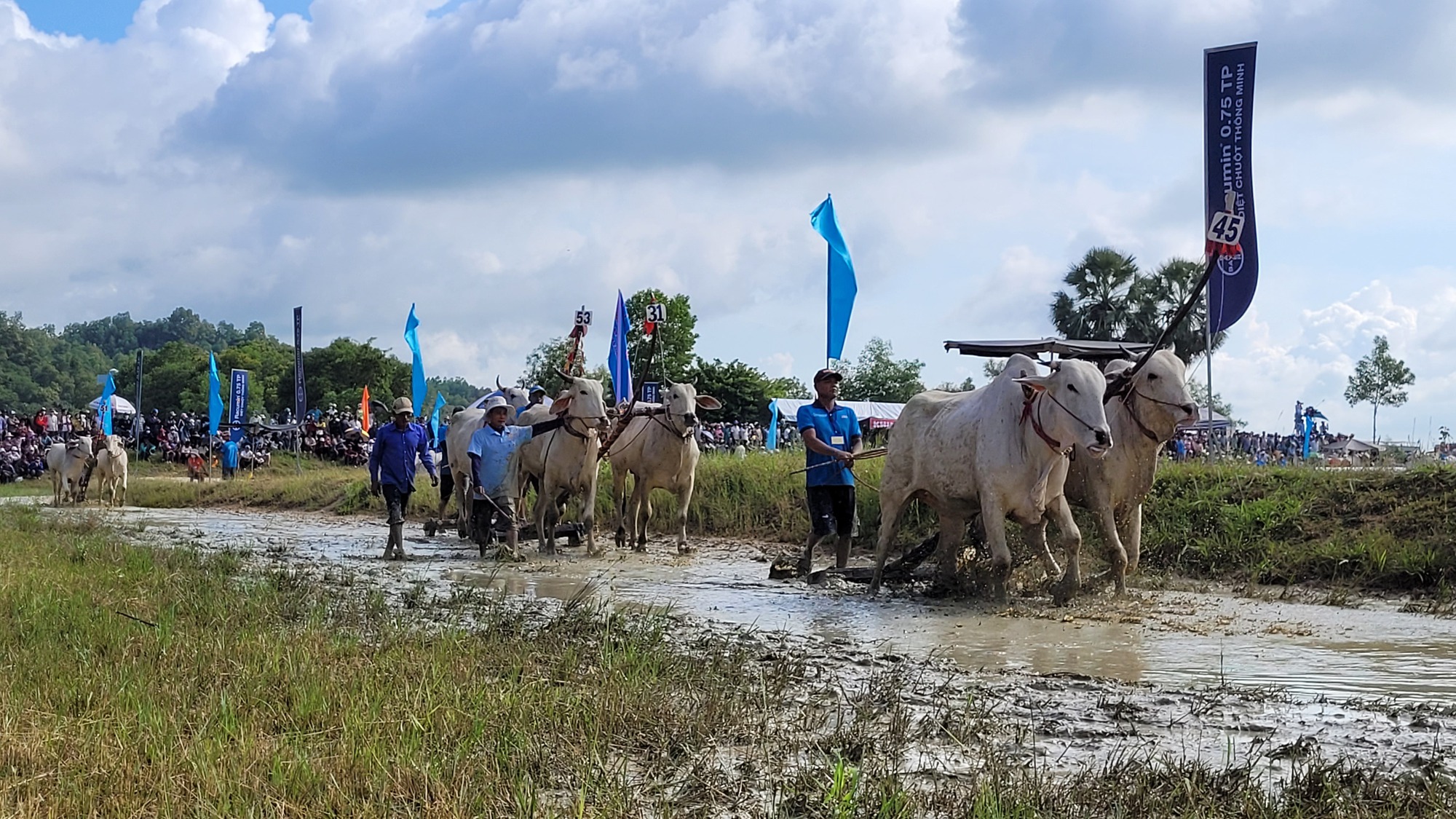 An Giang nhộn nhịp lễ hội đua bò Bảy Núi - Ảnh 2.