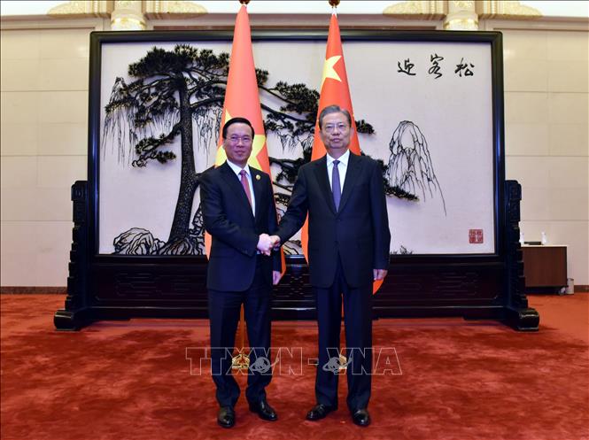 Chủ tịch nước đề nghị Trung Quốc thúc đẩy kết nối giao thông đa phương thức với Việt Nam - Ảnh 1.