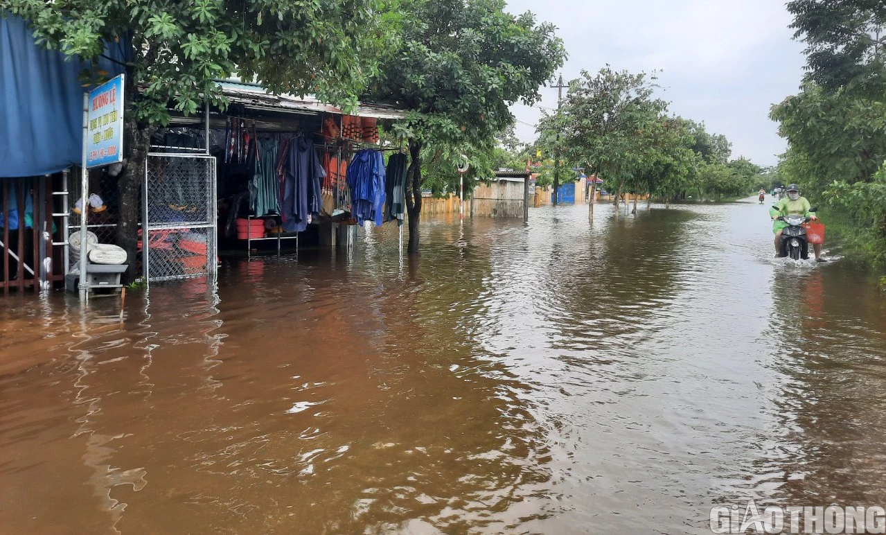 Nhiều nơi tại Huế, Quảng Trị ngập sâu, dân di chuyển bằng thuyền, ô tô lên cầu tránh lụt - Ảnh 11.