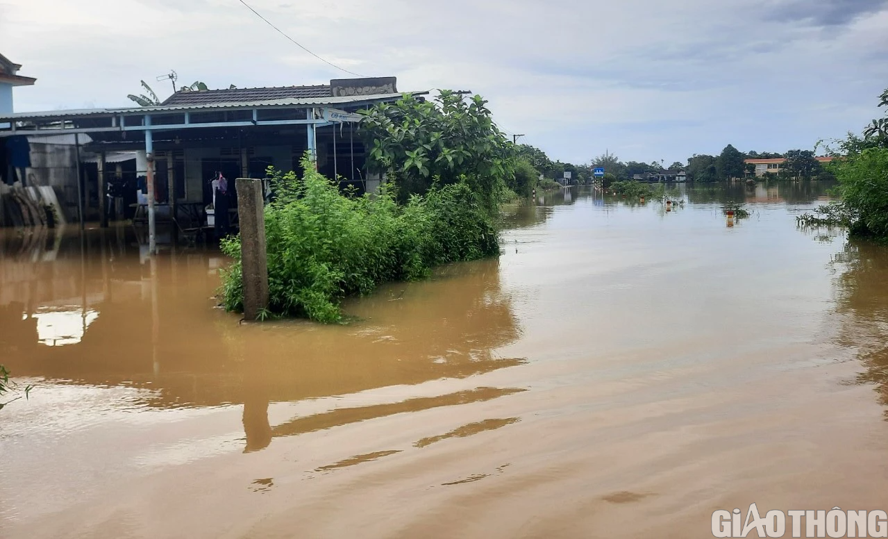 Nhiều nơi tại Quảng Trị và Huế ngập sâu, dân di chuyển bằng thuyền, bò lên cầu tránh lụt - Ảnh 2.