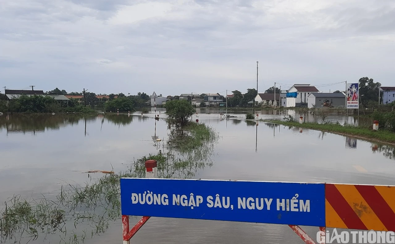 Nhiều nơi tại Quảng Trị và Huế ngập sâu, dân di chuyển bằng thuyền, bò lên cầu tránh lụt - Ảnh 3.