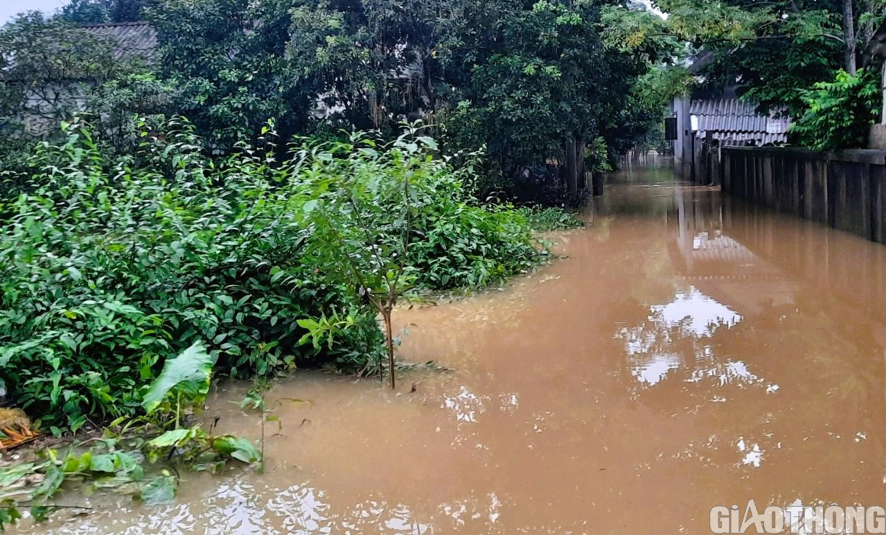 Nhiều nơi tại Quảng Trị và Huế ngập sâu, dân di chuyển bằng thuyền, bò lên cầu tránh lụt - Ảnh 8.