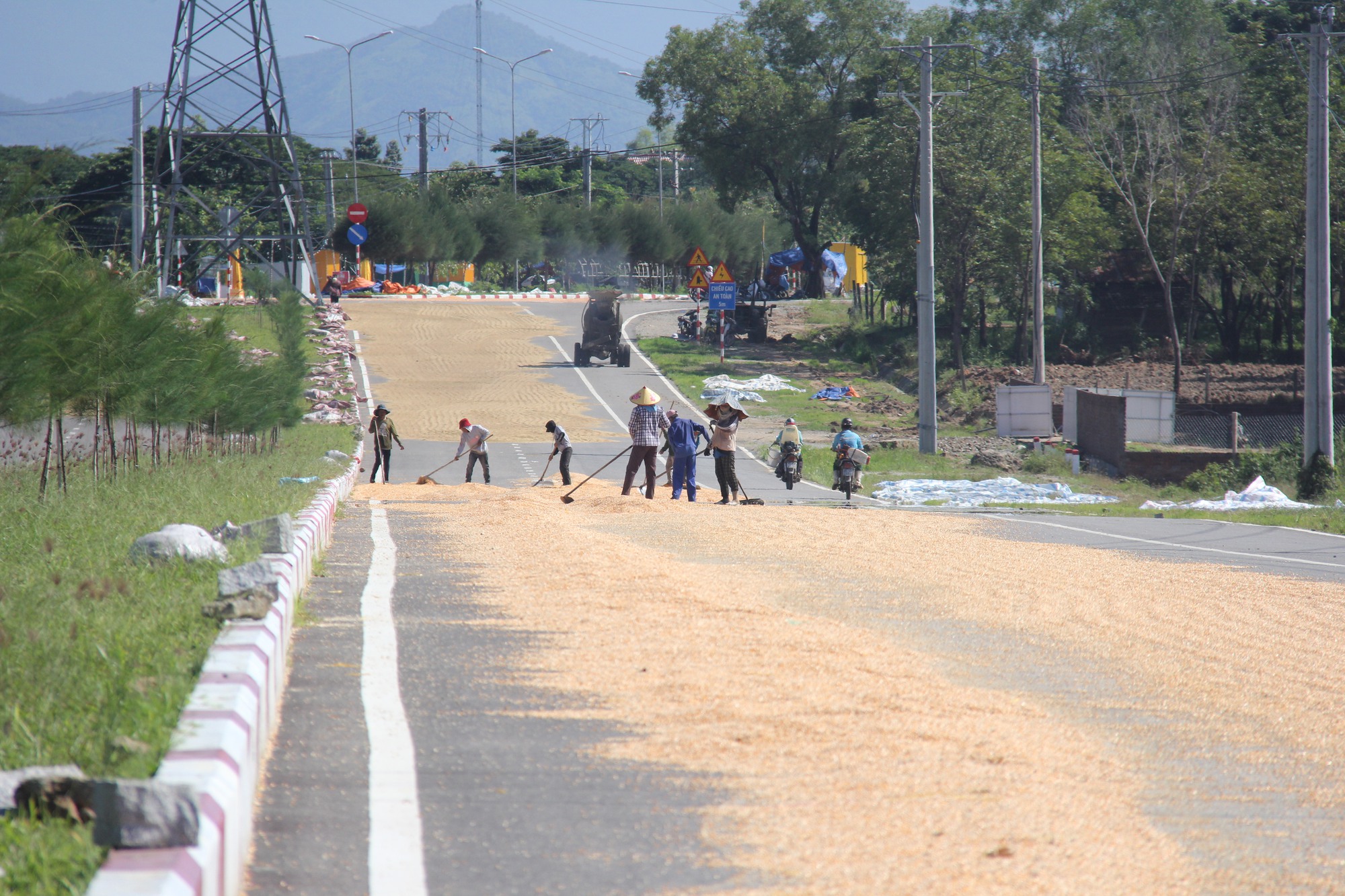 Ninh Thuận: Đường giữa thị trấn thành sân phơi hạt ngô, tai nạn rình rập - Ảnh 1.