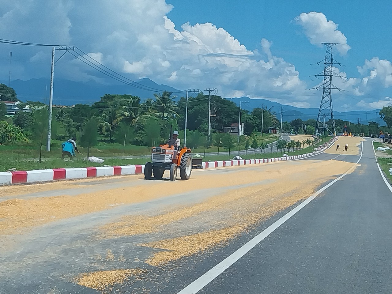 Ninh Thuận: Đường giữa thị trấn thành sân phơi hạt ngô, tai nạn rình rập - Ảnh 4.
