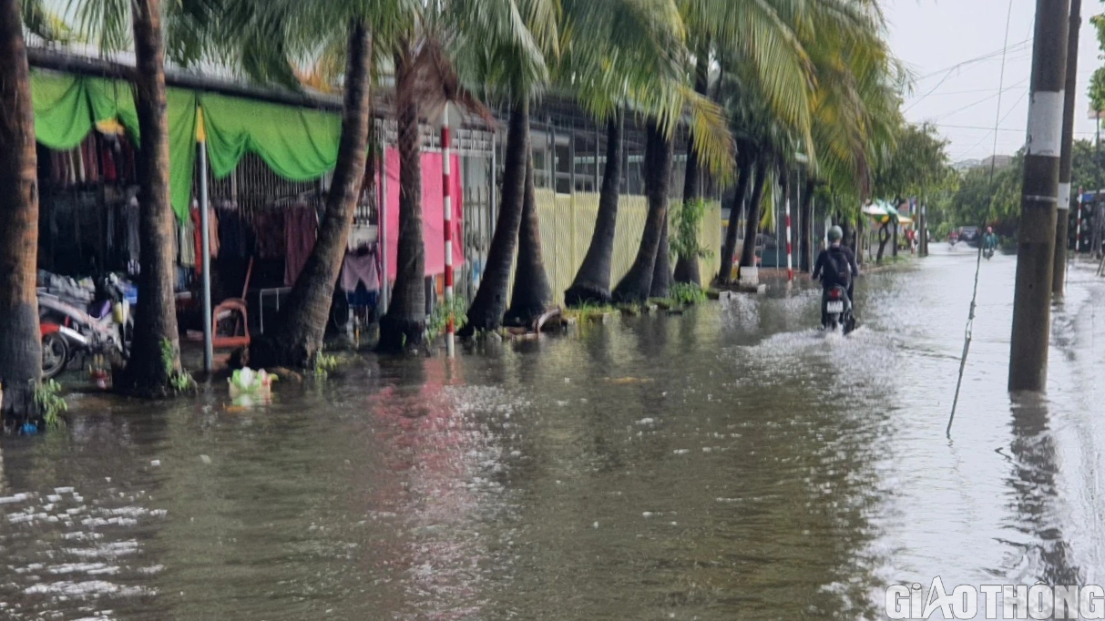 Người dân Bạc Liêu bì bõm dẫn xe lội nước sau cơn mưa lớn kéo dài - Ảnh 7.