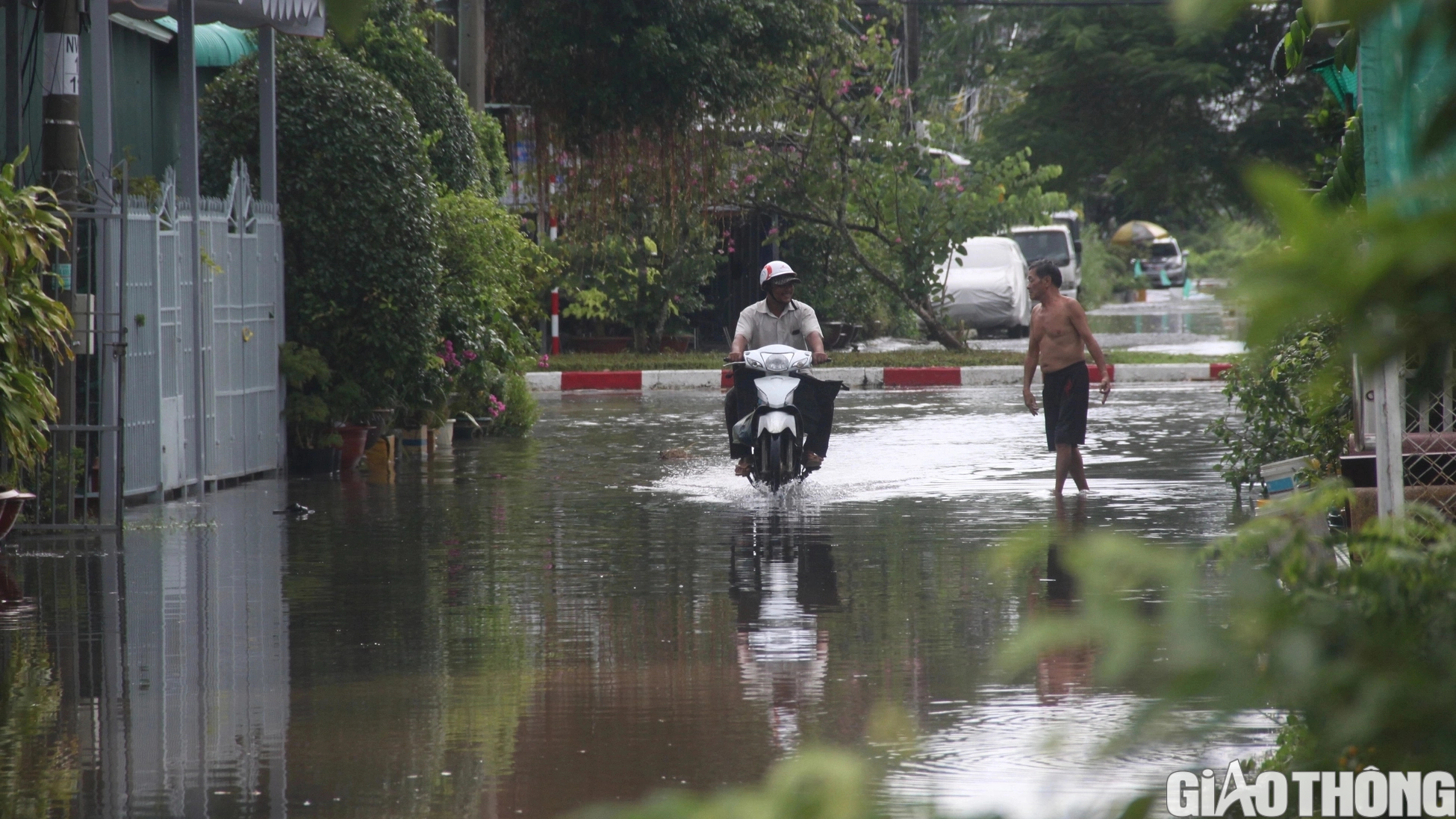 Người dân Bạc Liêu bì bõm dẫn xe lội nước sau cơn mưa lớn kéo dài - Ảnh 9.