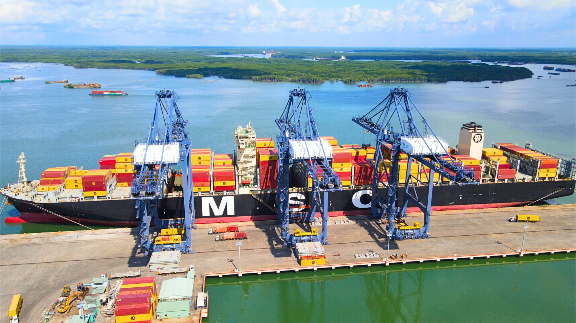 Tàu siêu lớn của hãng MSC cập cảng SSIT ở Bà Rịa - Vũng Tàu - Ảnh 5.