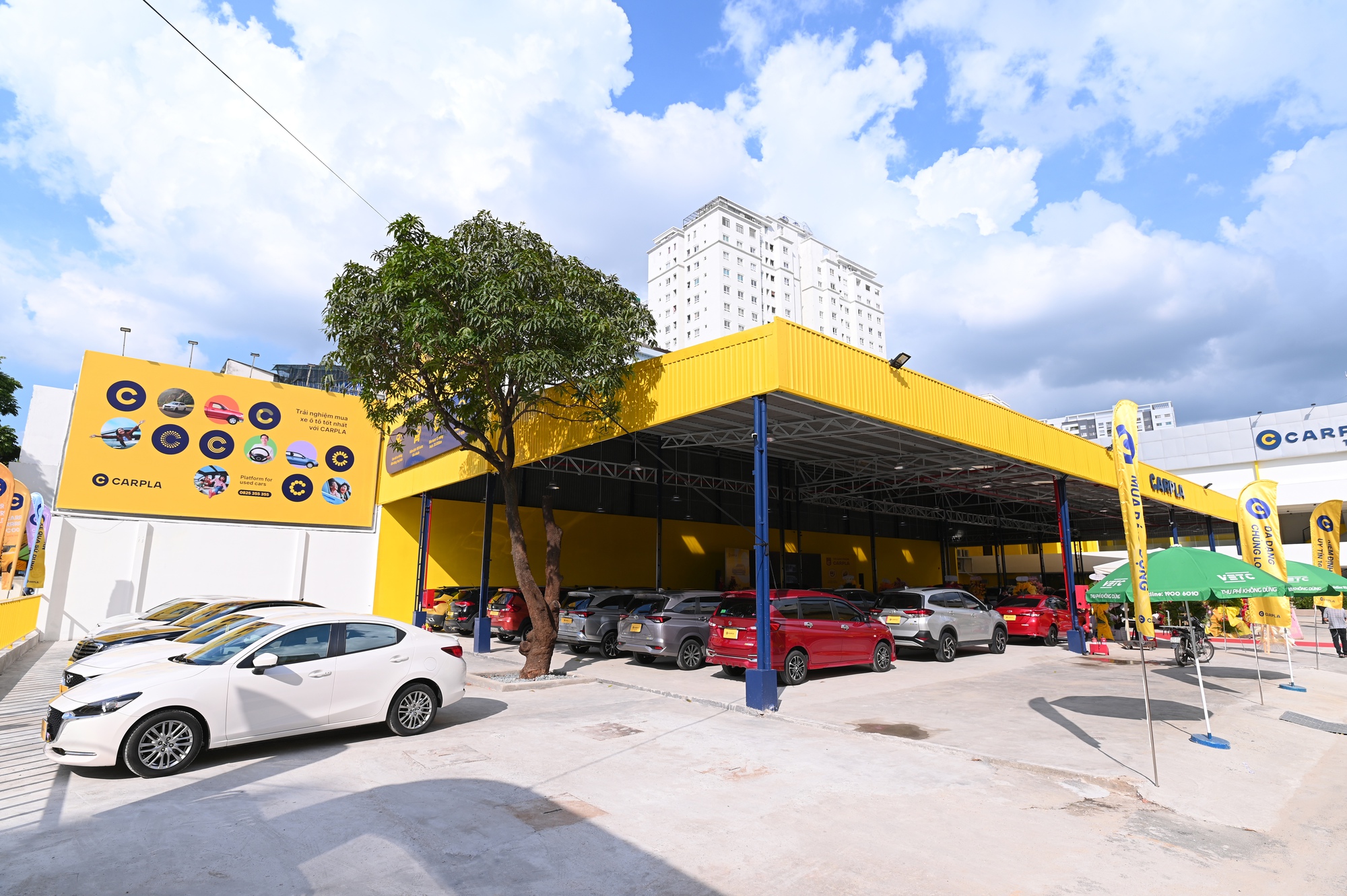 Carpla khai trương siêu thị ô tô cũ lớn nhất tại miền Nam - Ảnh 1.