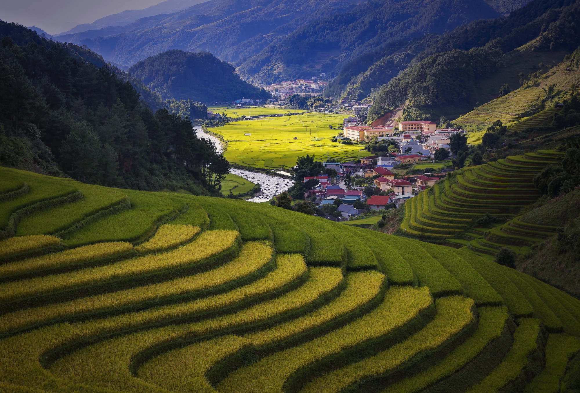 Chiêm ngưỡng vẻ đẹp ruộng bậc thang Mù Cang Chải (Yên Bái) mùa lúa chín - Ảnh 3.