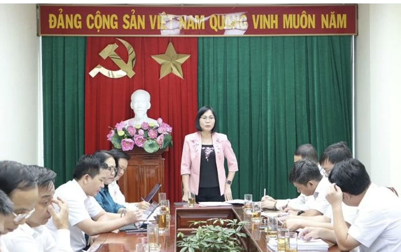 Đồng Nai sẽ thành lập Ban Chỉ đạo xây dựng sân bay Biên Hòa - Ảnh 2.