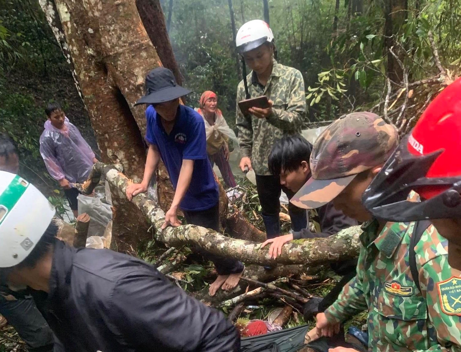 Hỗ trợ ba nạn nhân bị cây rừng ngã đè tử vong - Ảnh 1.
