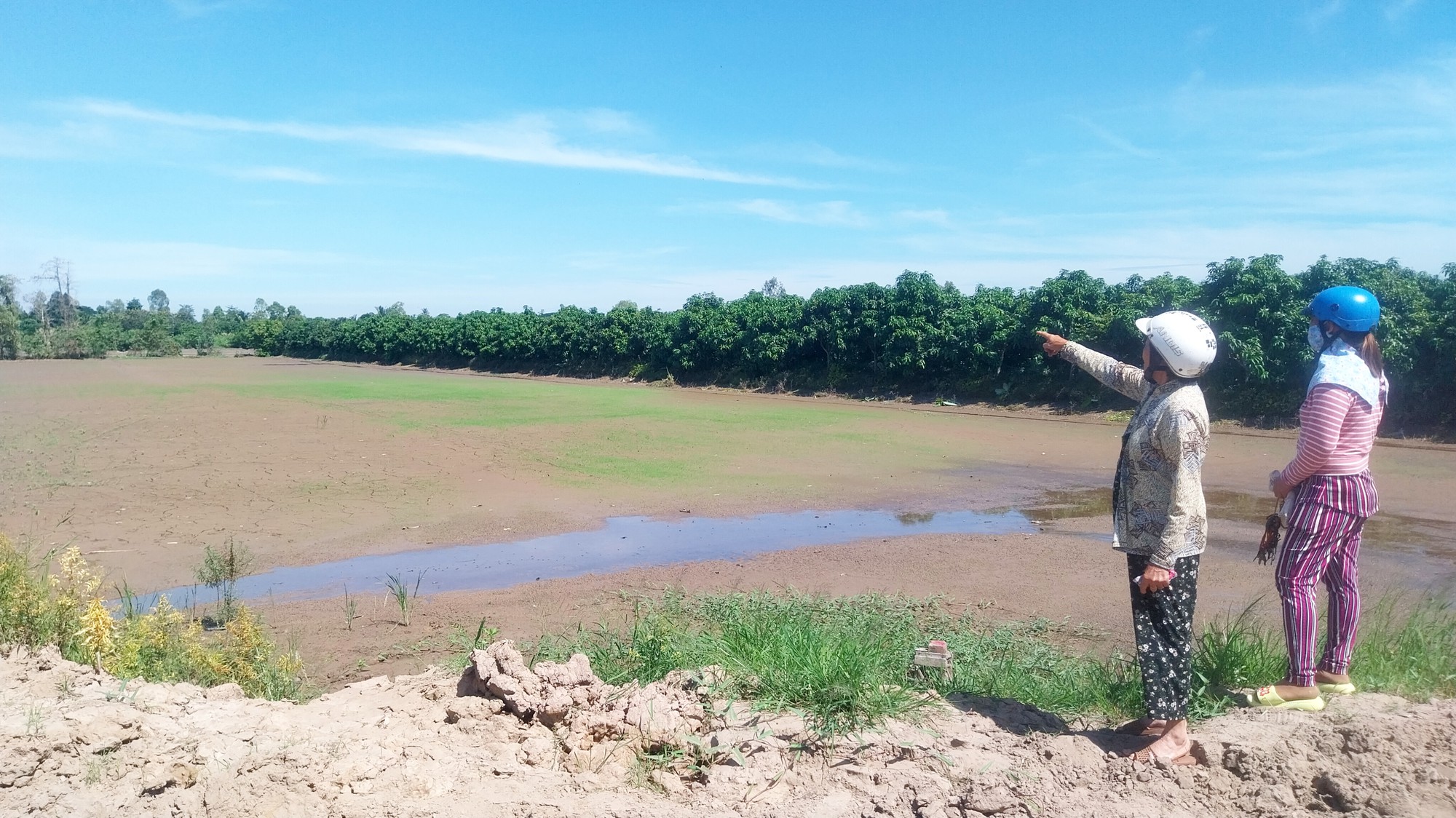 Nhà thầu làm gì sau khi thống nhất phương án bồi thường vụ cát tràn ra ruộng lúa? - Ảnh 1.