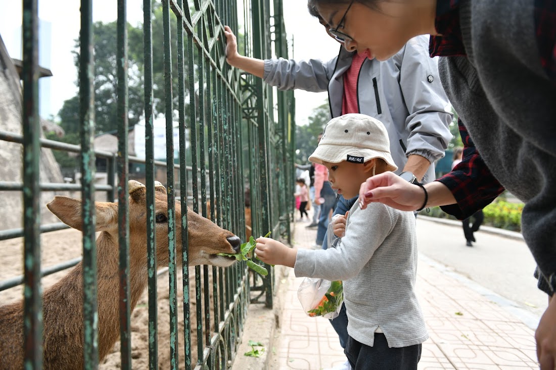 Người dân dựng lều, trải bạt, đổ xô về các công viên ở Hà Nội dịp nghỉ tết - Ảnh 5.