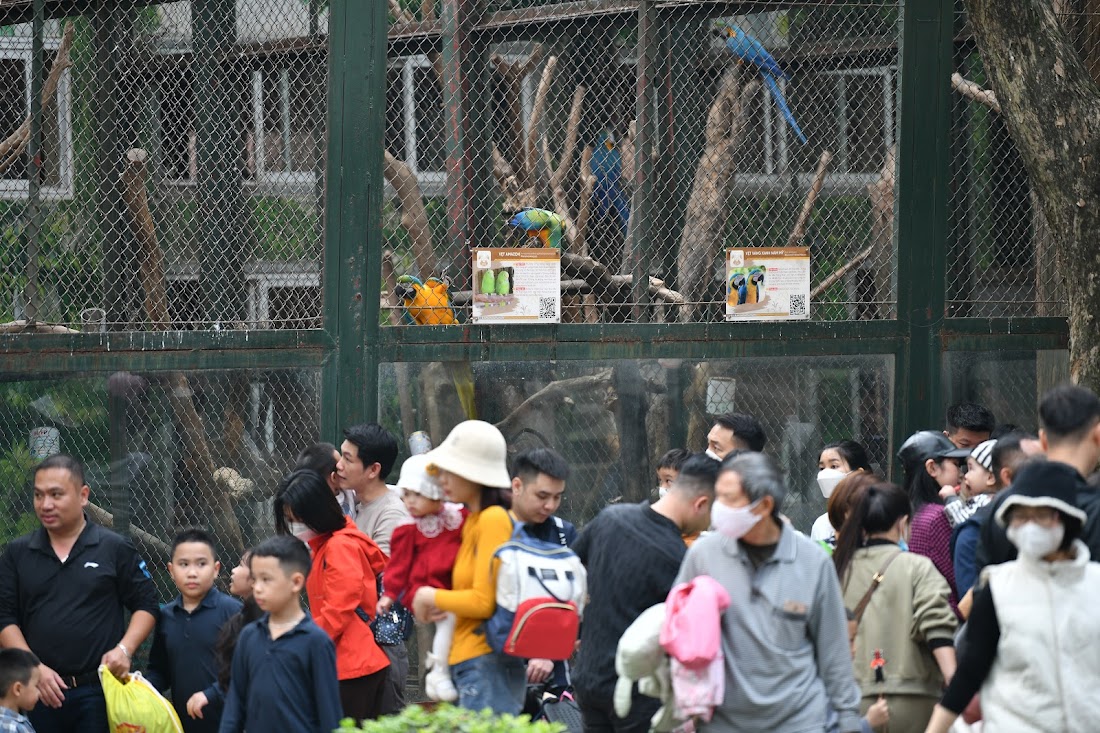 Người dân dựng lều, trải bạt, đổ xô về các công viên ở Hà Nội dịp nghỉ tết - Ảnh 6.