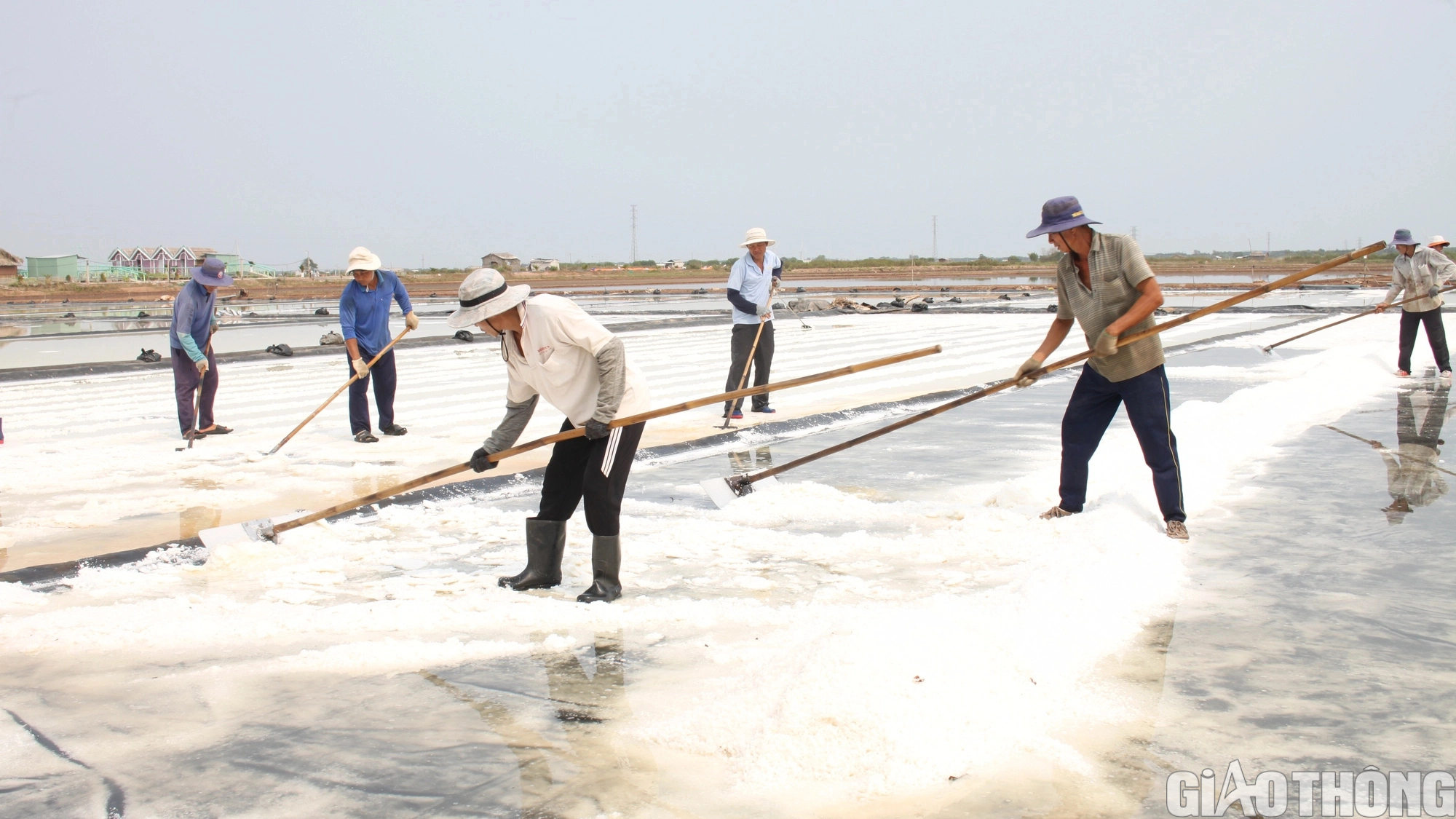 130 tỷ đồng, cấp thiết đầu tư phát triển hạ tầng nghề muối ở Bạc Liêu - Ảnh 2.