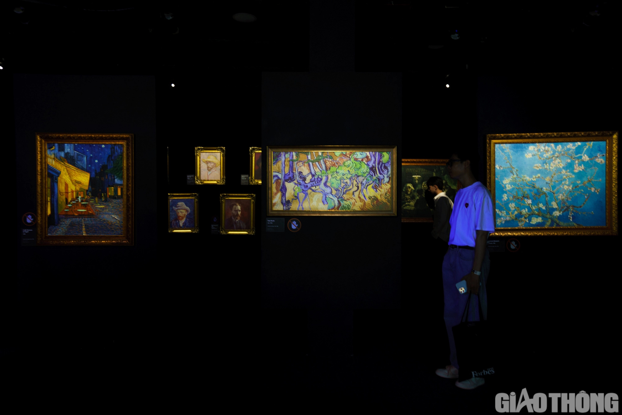 Giới trẻ thích thú với triển lãm nghệ thuật đa giác quan Van Gogh - Ảnh 1.