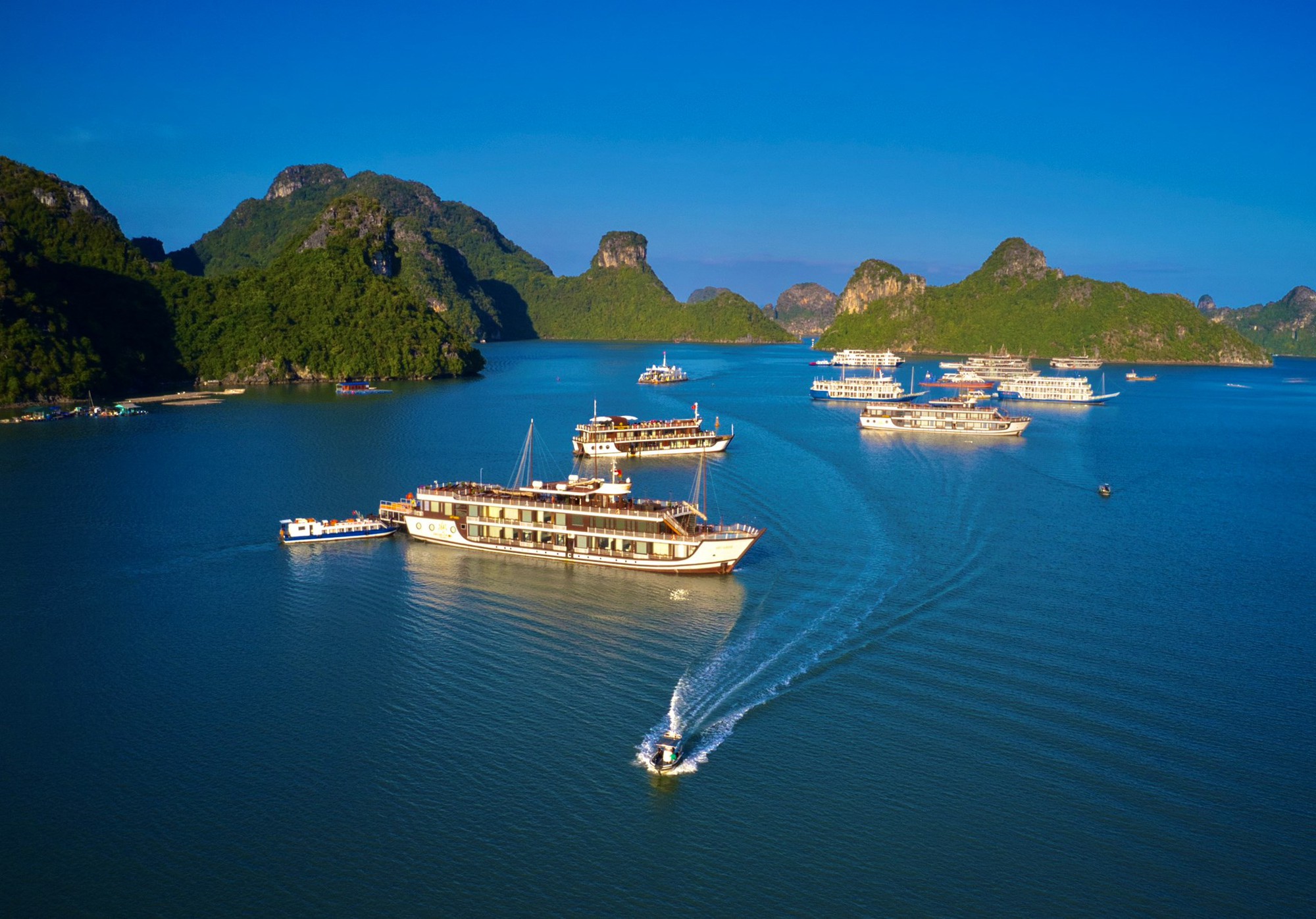 Quần đảo Cát Bà là lần đầu tiên được công nhận Di sản thiên nhiên thế giới - Ảnh 1.