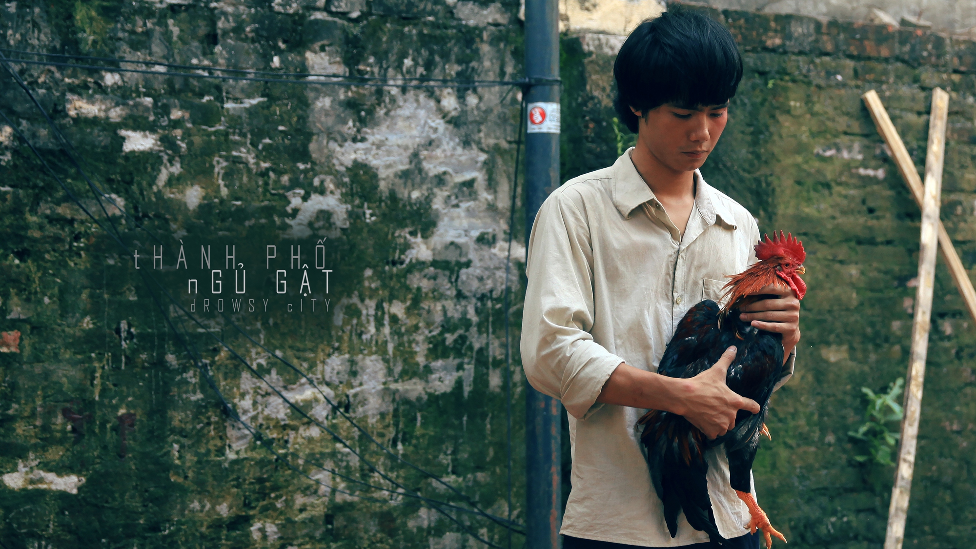 Phim Việt 18+ &quot;Thành phố ngủ gật&quot; ra mắt tháng 10 - Ảnh 1.