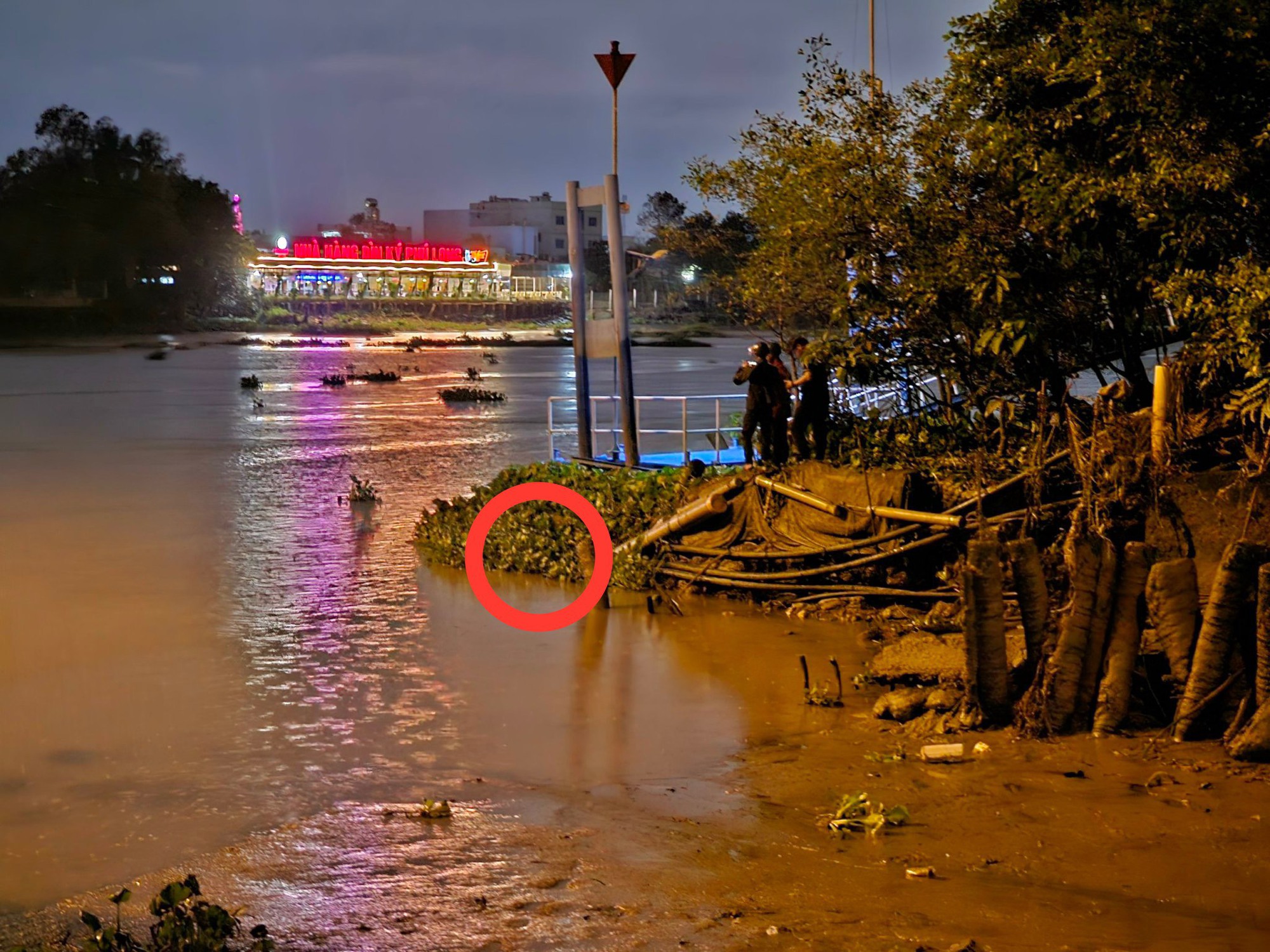 Lo hậu sự cho bé gái xong, người nhà phát hiện thi thể mẹ cháu bé dưới đám lục bình - Ảnh 1.