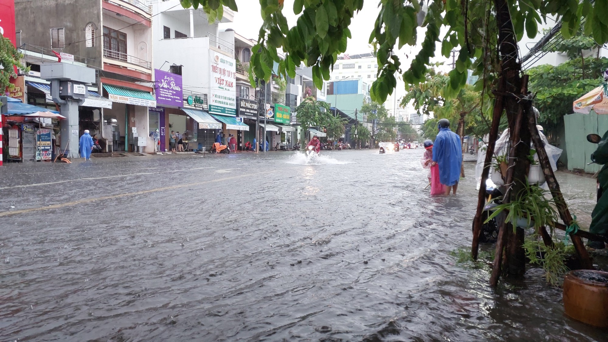 Đường phố Đà Nẵng thành sông sau mưa lớn, ô tô bì bõm lội nước - Ảnh 5.