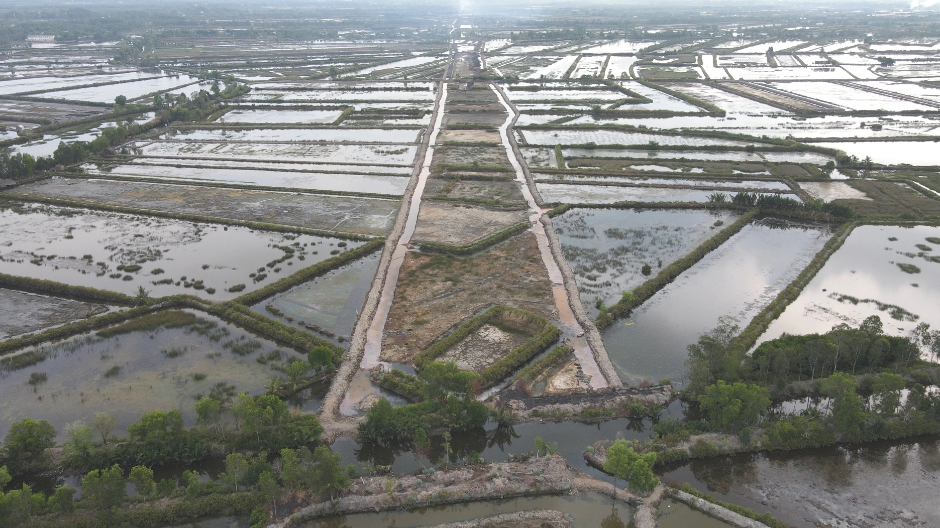 Thứ trưởng Nguyễn Duy Lâm nêu năm giải pháp phát triển giao thông liên vùng ĐBSCL - Ảnh 2.