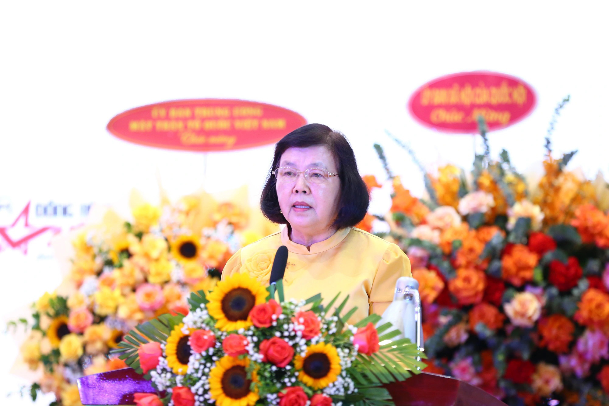 Bà Đặng Huỳnh Mai tái đắc cử chủ tịch Người khuyết tật Việt Nam - Ảnh 1.