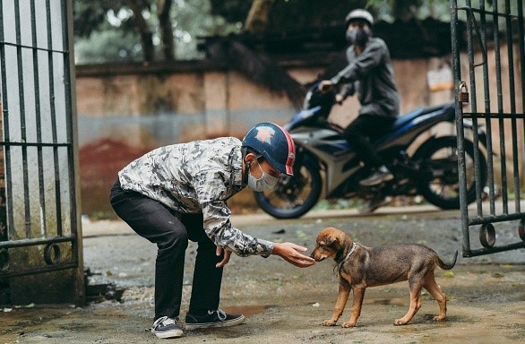 Điều tra nghi can trộm chó chết chưa rõ nguyên nhân ở Bình Thuận - Ảnh 1.