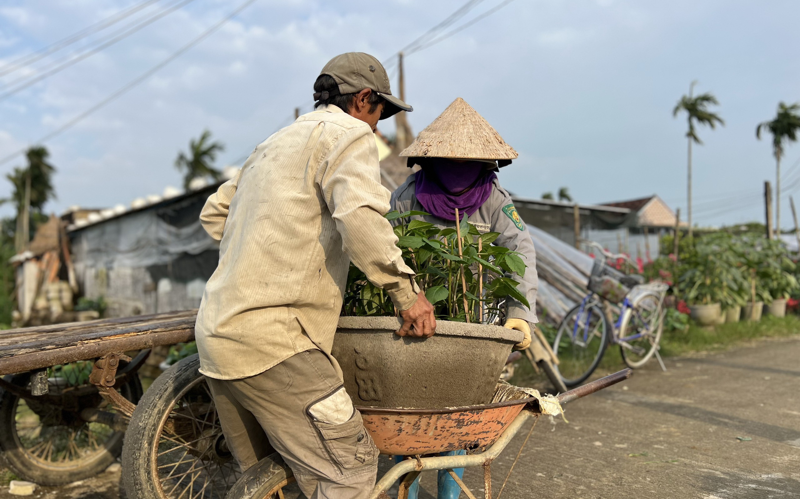 Chơi Tết sớm ở làng hoa lớn nhất miền Trung- Ảnh 13.