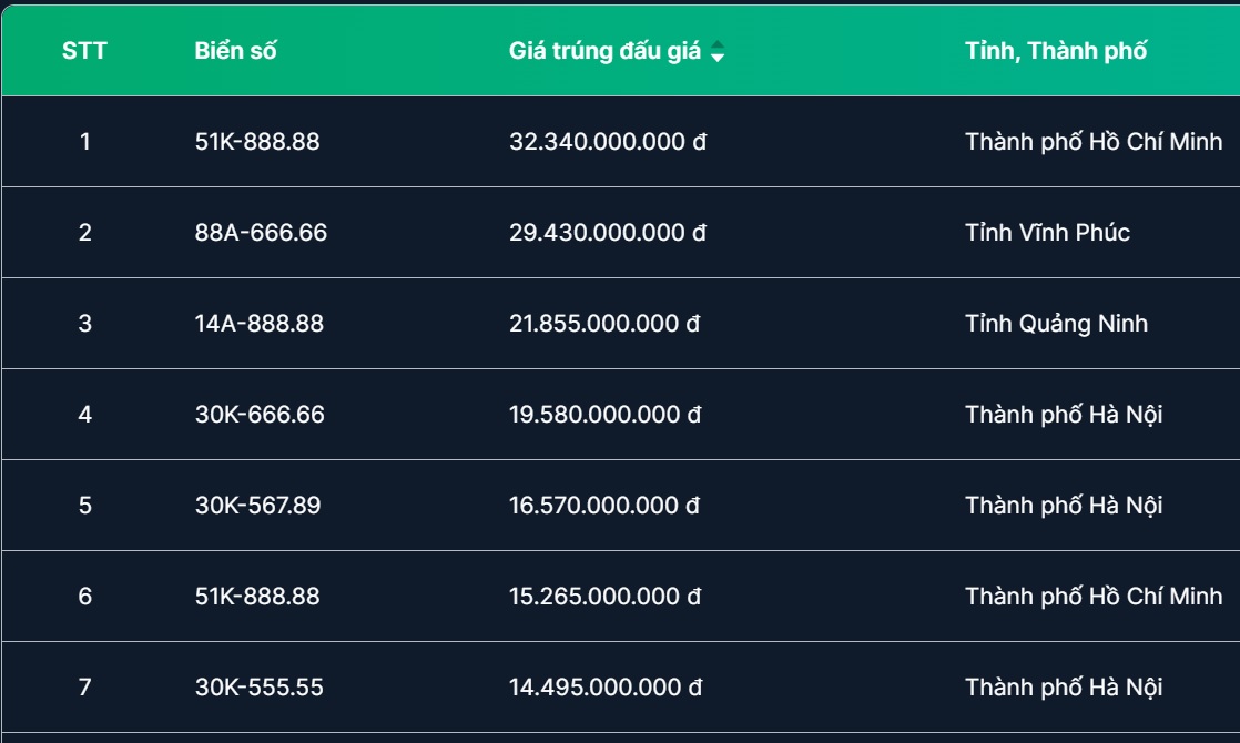 Những người trúng đấu giá biển số đã nộp ngân sách gần 1.000 tỷ- Ảnh 1.