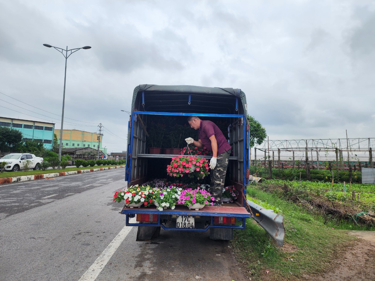 Làng hoa lớn nhất Thái Bình tấp nập khách mua, giá hoa Tết dự kiến tăng nhẹ- Ảnh 10.