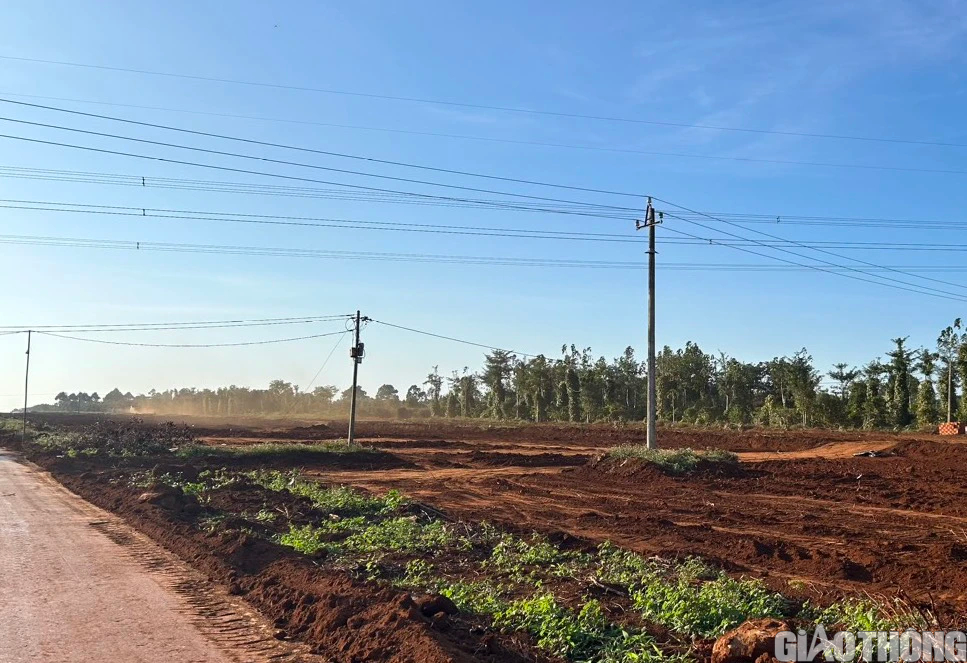 Di dời loạt trụ điện phục vụ thi công cao tốc Khánh Hòa - Buôn Ma Thuột- Ảnh 2.