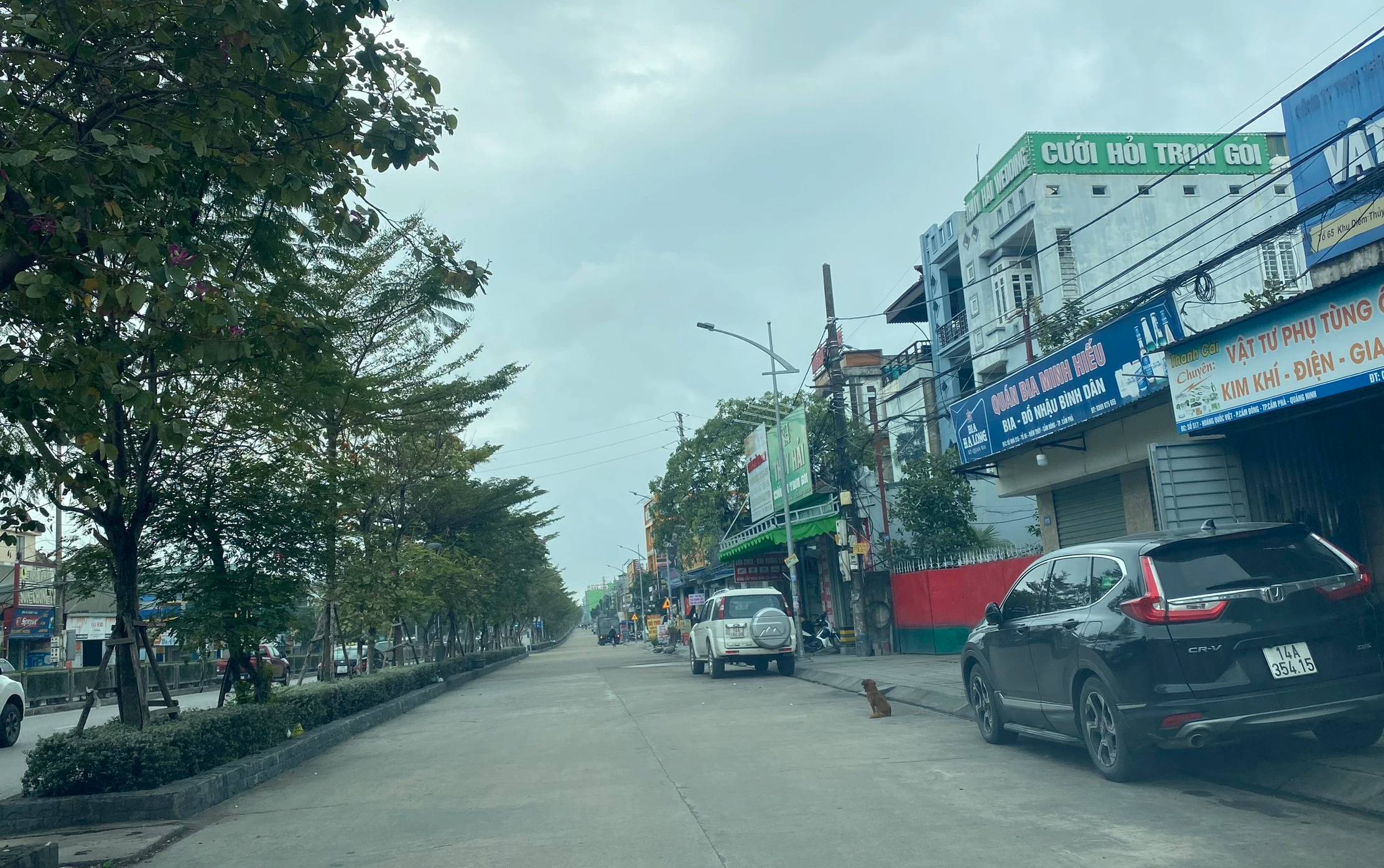 Quảng Ninh: Dự án đường gom "dậm chân tại chỗ", dân tố bất thường khi triển khai- Ảnh 4.