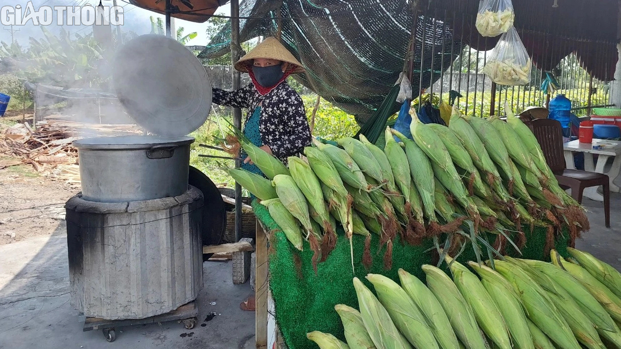 Nông dân Bạc Liêu trúng mùa bắp, hứa hẹn đón Tết sung túc, ấm no- Ảnh 8.