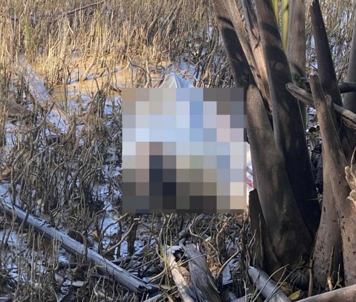 Bắt nghi phạm sát hại cô gái trẻ phi tang thi thể xuống sông Hàm Luông- Ảnh 1.