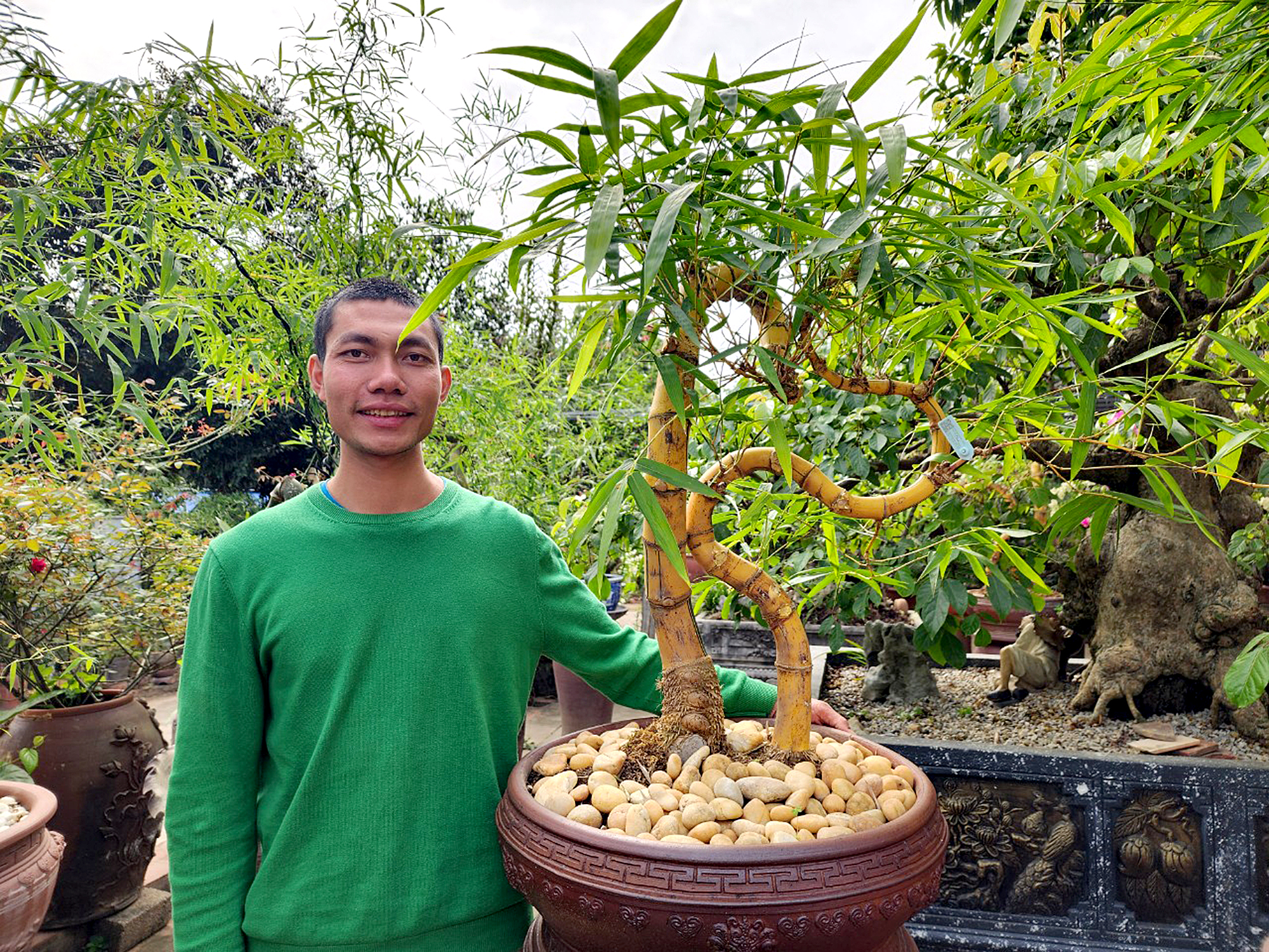 “Đốt” tiền tỷ cho đam mê tre bonsai- Ảnh 2.