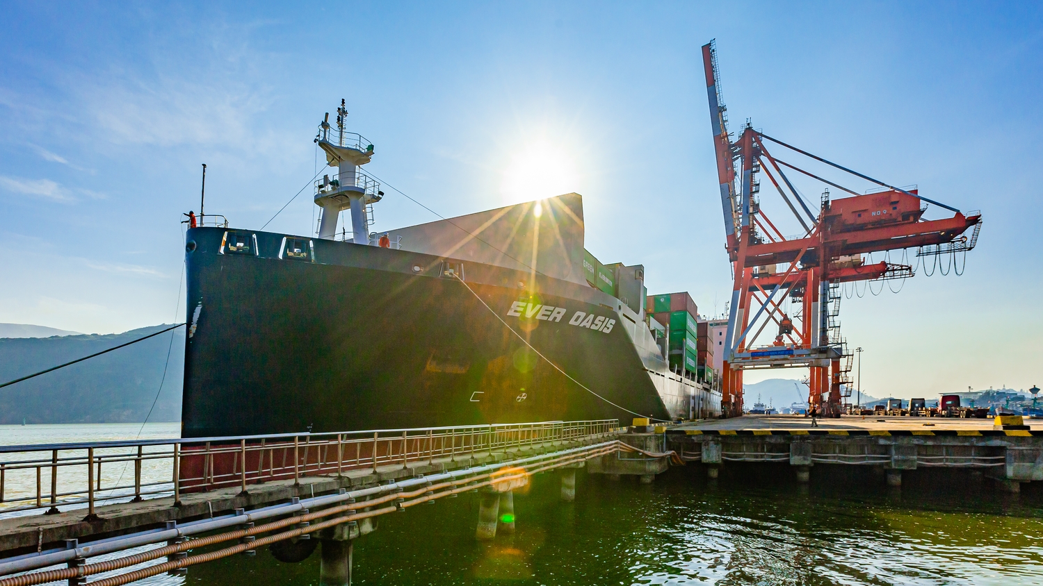 Hơn 9,6 triệu tấn hàng thông qua cảng Quy Nhơn năm 2023- Ảnh 1.