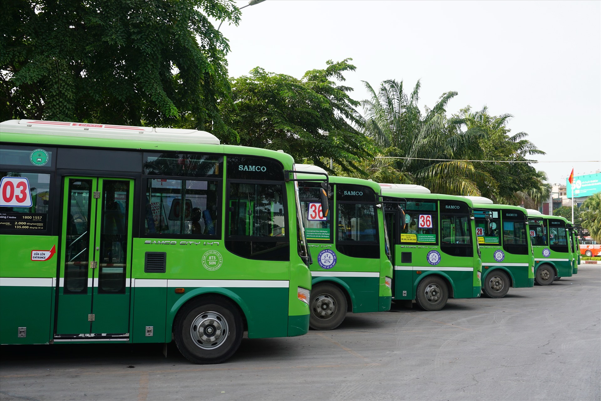 Sắp vận hành tuyến xe buýt từ Nam Định - Hà Nội- Ảnh 1.