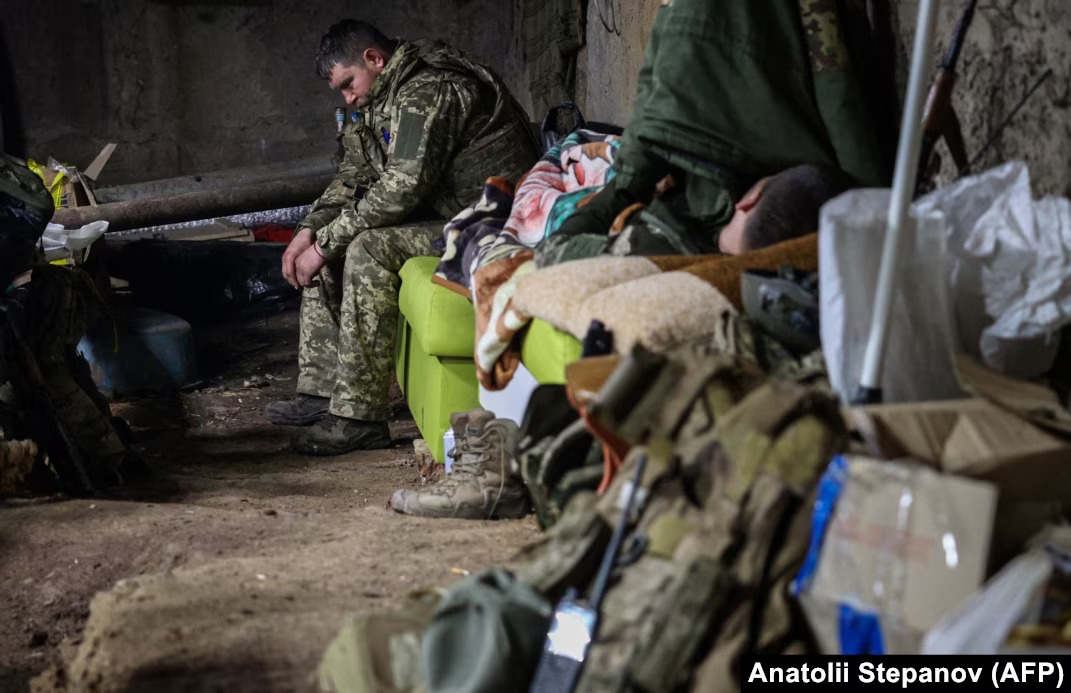 Chuột hoành hành gây bệnh tật và suy nhược khả năng chiến đấu của các binh lính trên mặt trận xung đột Nga - Ukraine (Ảnh: AFP)