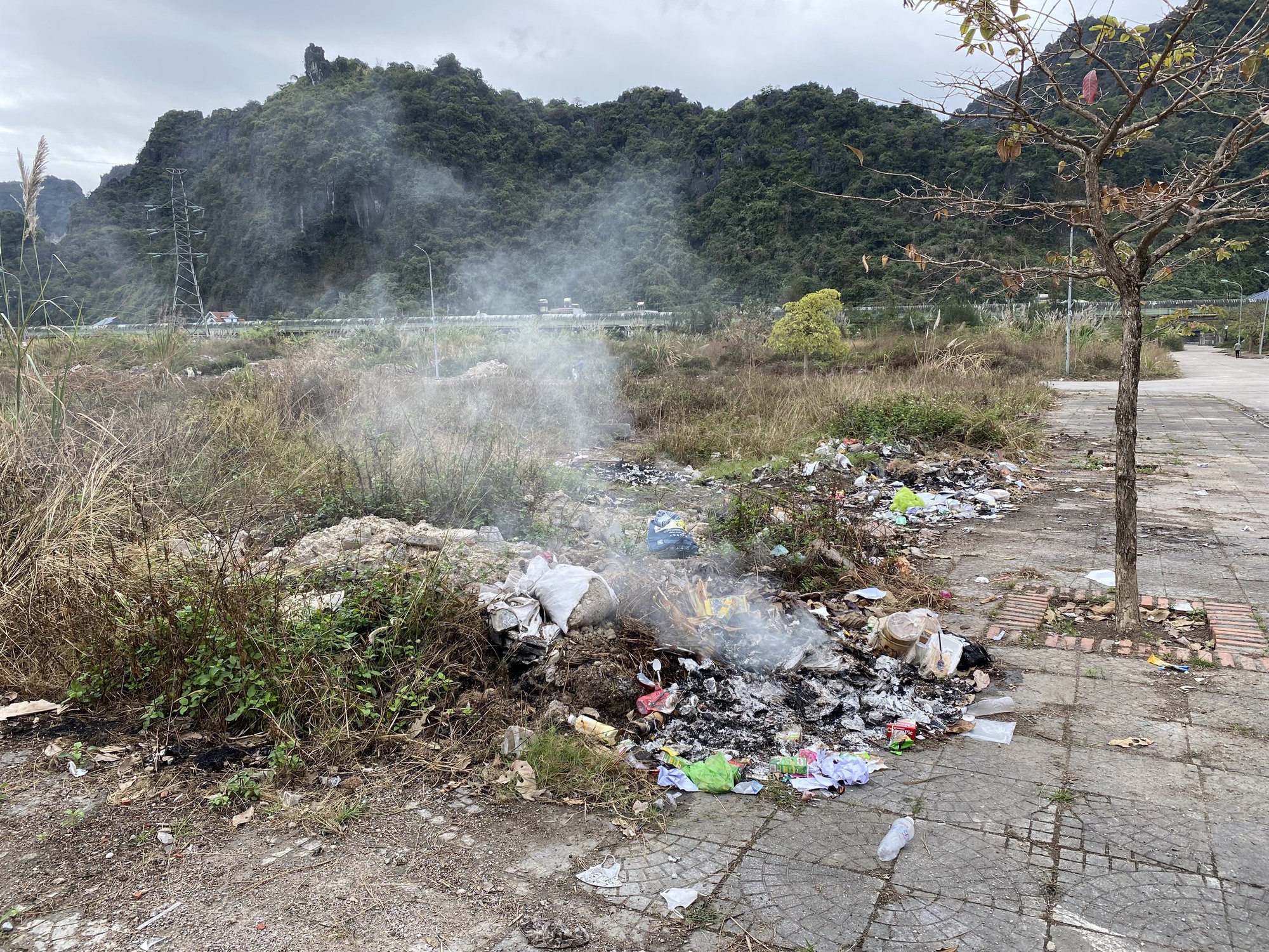 Quảng Ninh: Khu đô thị mới ngập trong rác, chất thải- Ảnh 3.