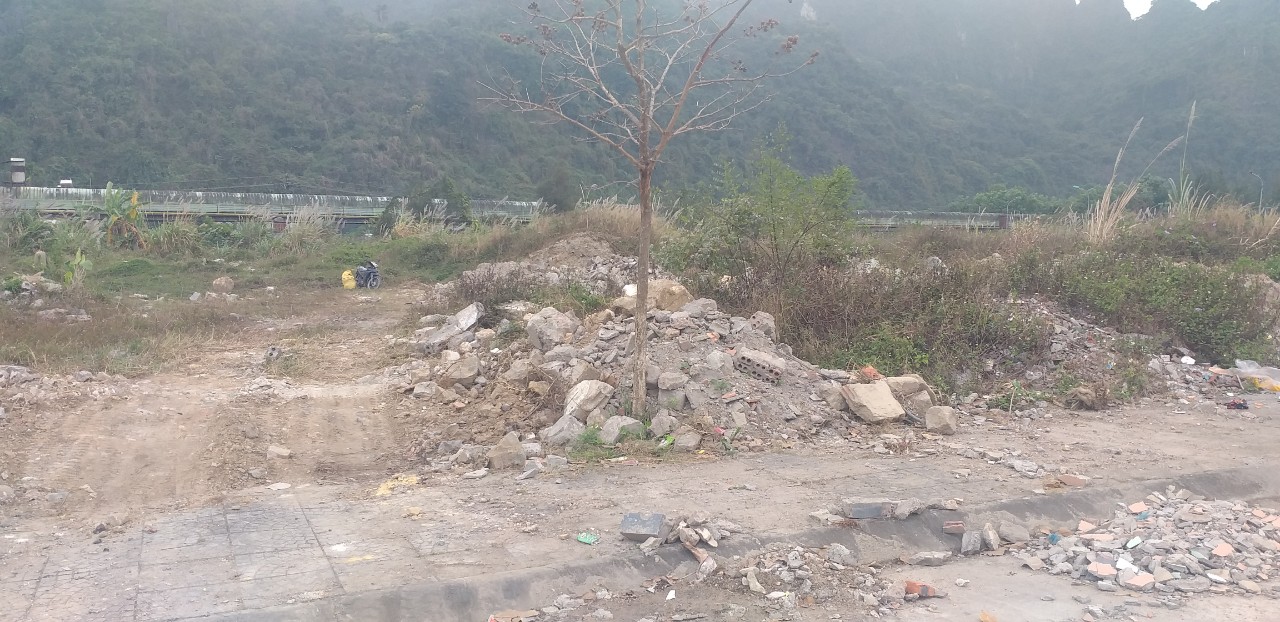 Quảng Ninh: Khu đô thị mới ngập trong rác, chất thải- Ảnh 4.