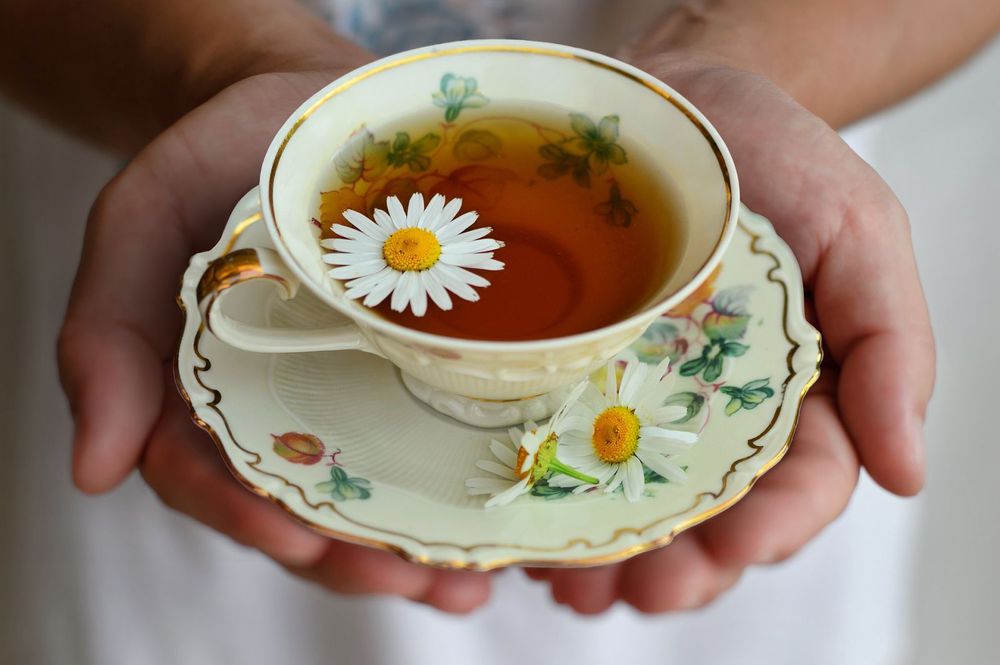 Loại hoa tưởng chỉ để ngắm, đem pha trà vừa thơm mát lại tốt cho tim- Ảnh 2.