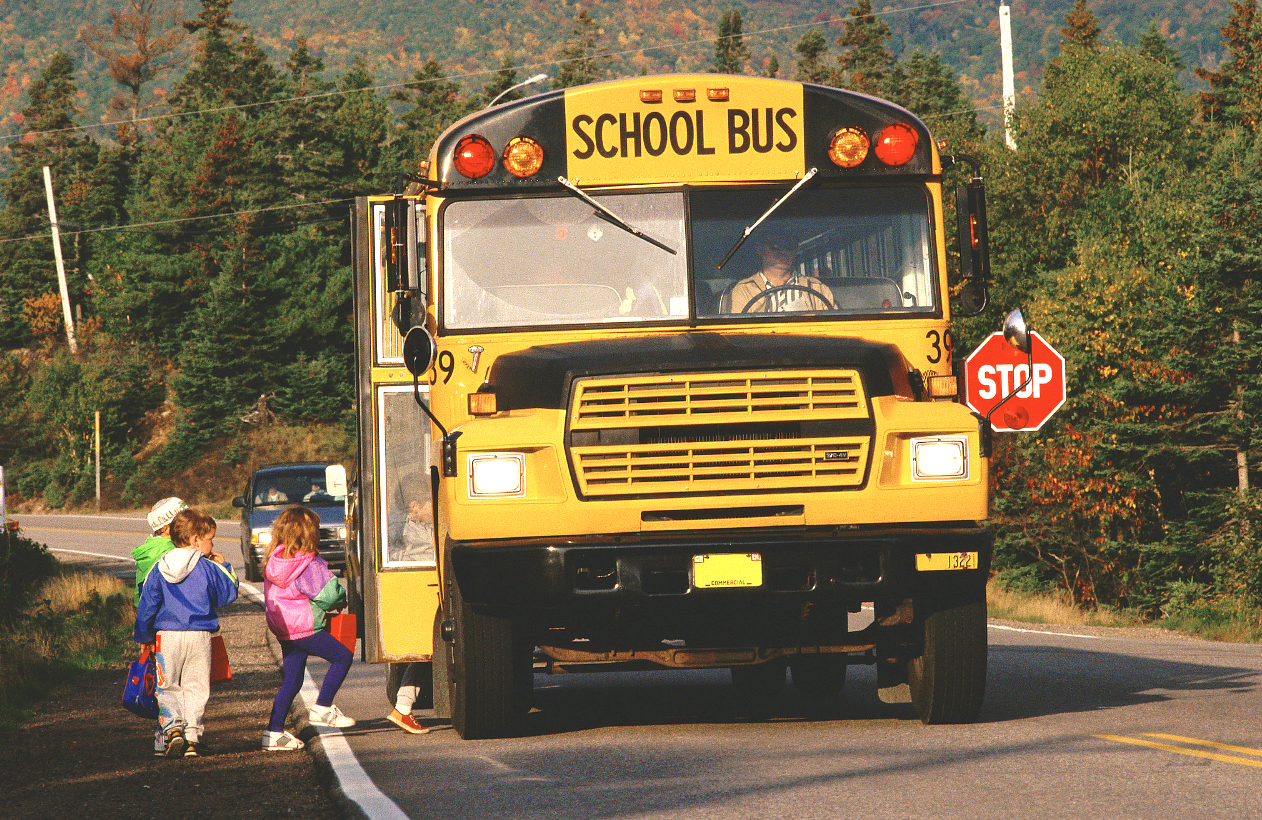 Nghiên cứu cơ chế ưu đãi hoạt động kinh doanh xe buýt học sinh- Ảnh 2.