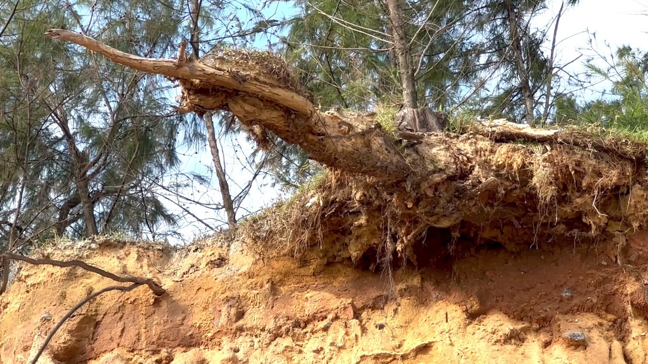 Triều cường dội thẳng vào bờ đe dọa đường giao thông, "nhăm nhe" kéo sập nhà dân- Ảnh 2.