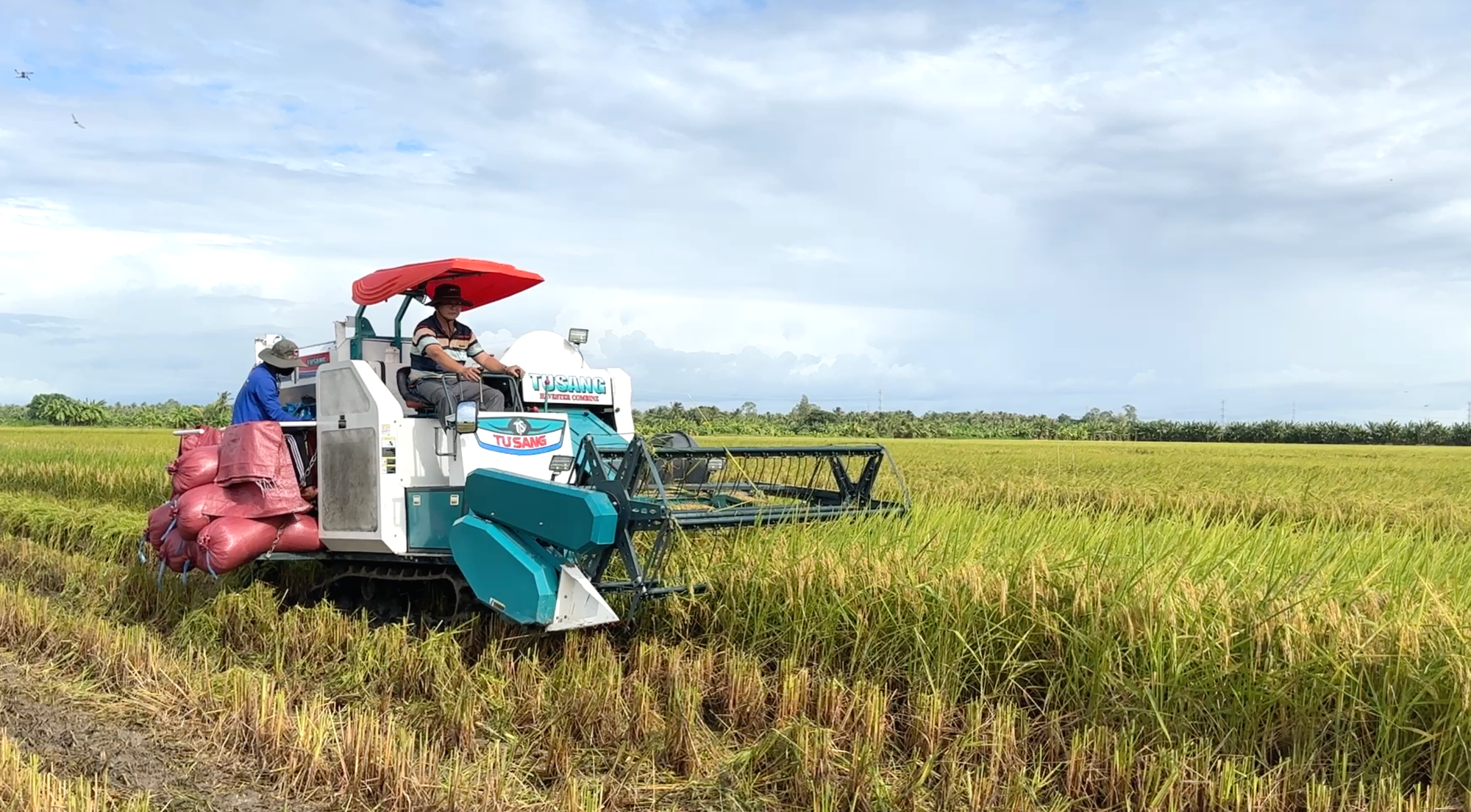 Thủ tướng nêu 5 định hướng để tạo "cuộc cách mạng cho cây lúa"- Ảnh 3.