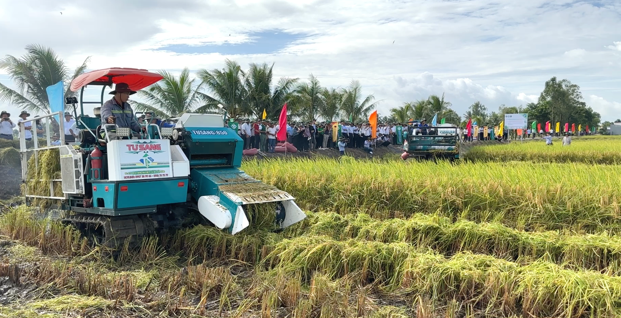 Thủ tướng nêu 5 định hướng để tạo "cuộc cách mạng cho cây lúa"- Ảnh 2.