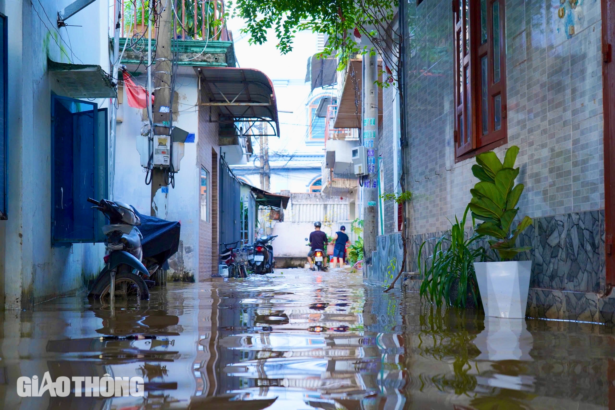 Triều cường sông Đồng Nai dâng cao, nhiều phố biến thành sông- Ảnh 13.