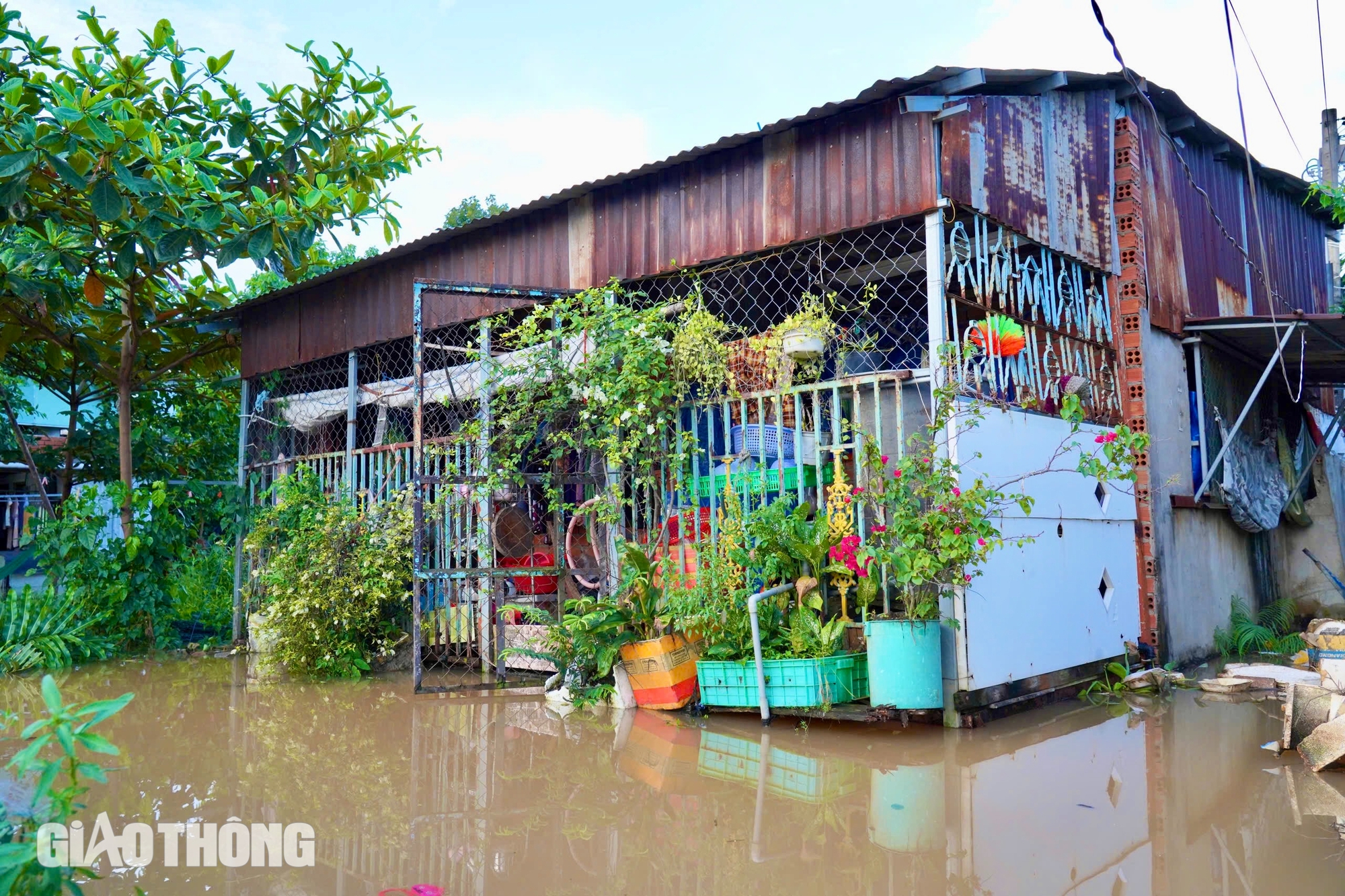 Triều cường sông Đồng Nai dâng cao, nhiều phố biến thành sông- Ảnh 4.